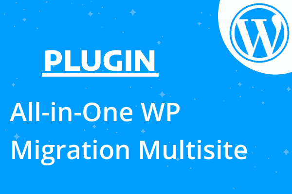 All-in-One WP Migration Multisite