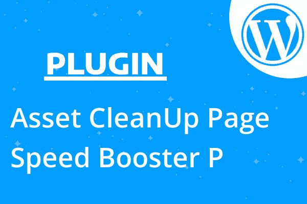 Asset CleanUp Page Speed Booster P