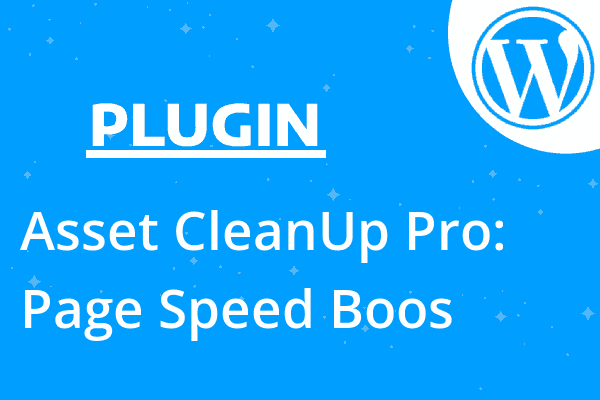 Asset CleanUp Pro: Page Speed Boos