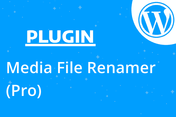 Media File Renamer (Pro)