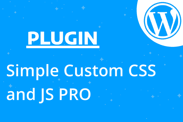 Simple Custom CSS and JS PRO