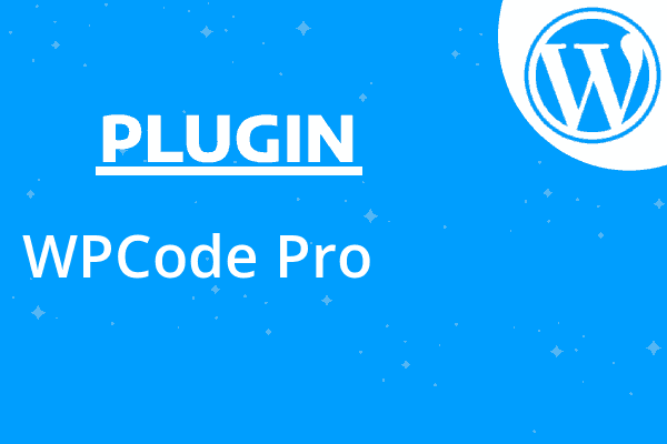 WPCode Pro
