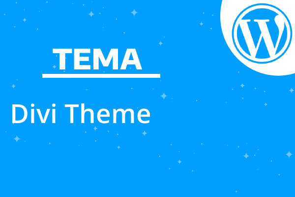 Divi Theme