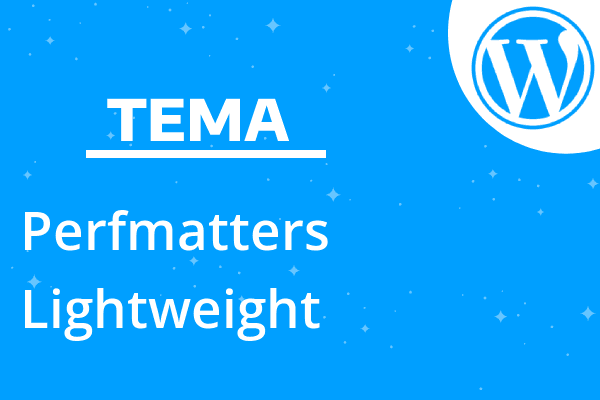 Perfmatters – Lightweight WordPres